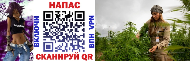 Купить закладку Alpha-PVP  Меф  Гашиш  Красный Кут