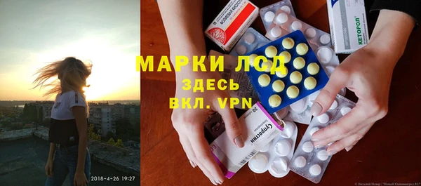 индика Рославль