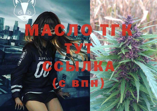 индика Рославль