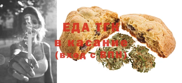 индика Рославль