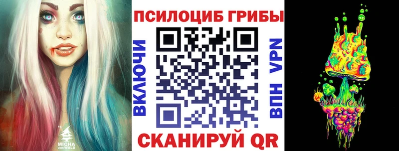Купить закладки  Красный Кут  Псилоцибиновые грибы Cubensis 